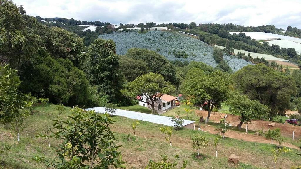 Rancho La Piedra Hotell Tenancingo de Degollado Exteriör bild